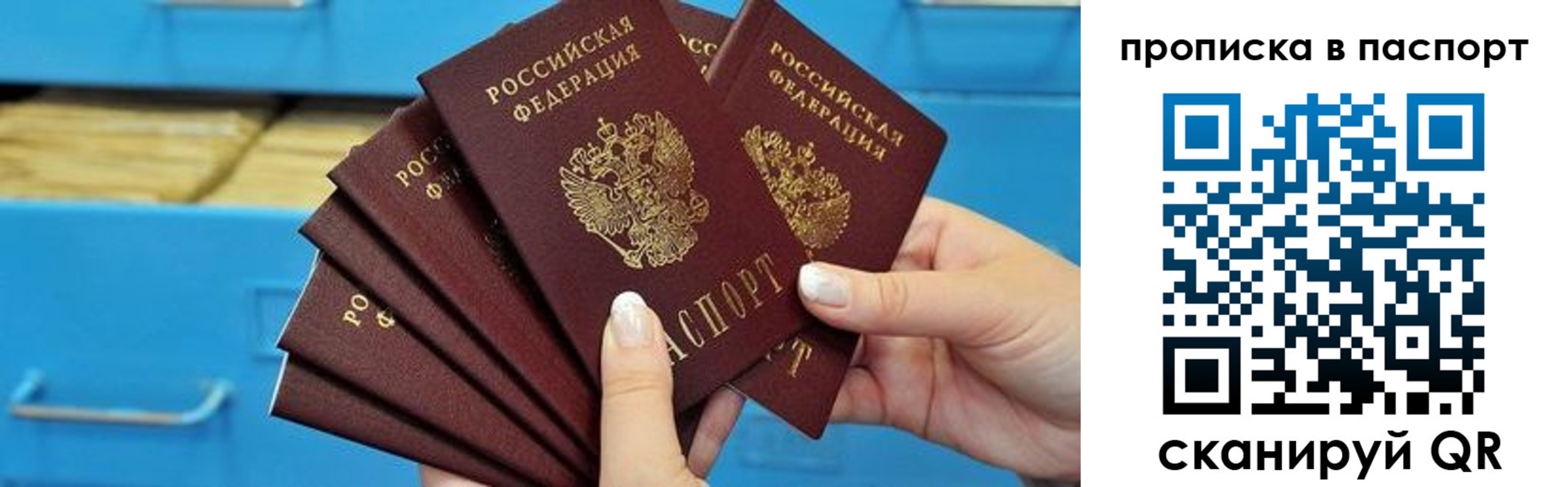 прописка в Кандалакше