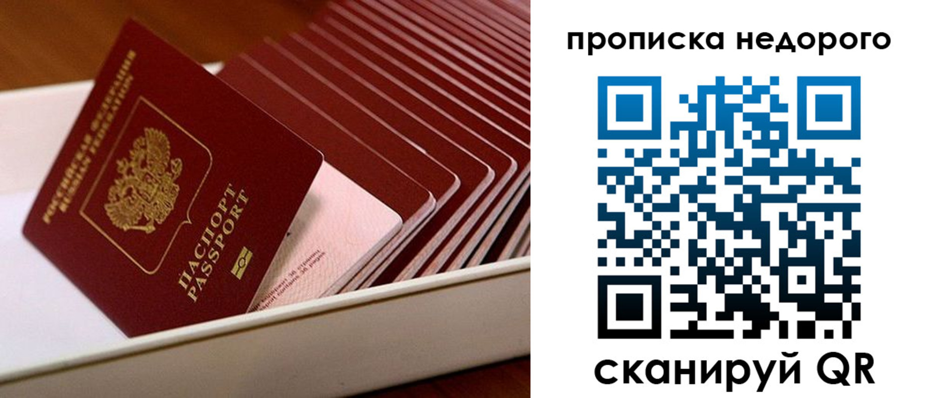 прописка паспорт в Кандалакше